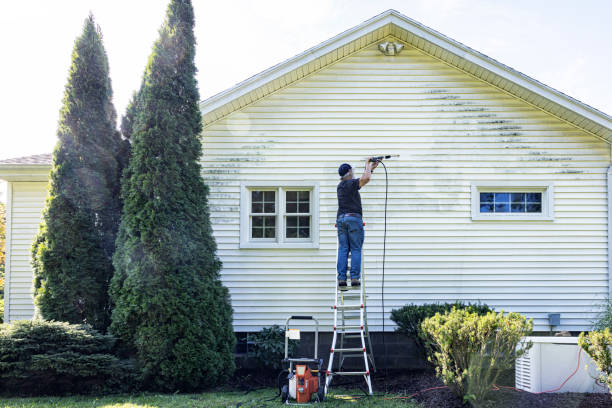 Best Dumpster Area Cleaning  in Mayville, NY